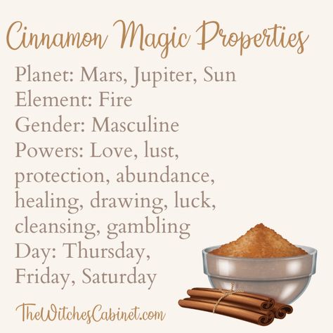 Cinnamon Magic Properties, Ritual, and Medicinal Uses Magic Properties Of Cinnamon, What Does Cinnamon Do In Witchcraft, What Is Cinnamon Good For Witchcraft, Cinnamon Stick Witchcraft, Cinnamon Properties Magic, Magical Properties Of Cinnamon, Cinnamon Spiritual Meaning, Cinnamon Witchcraft Uses, Cinnamon In Witchcraft