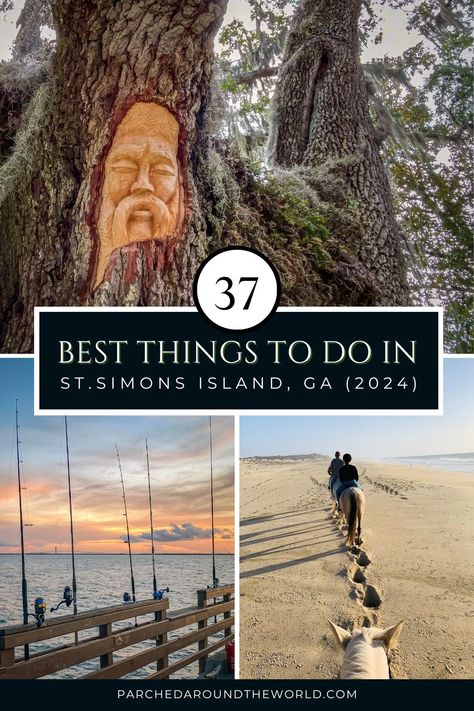 Discover the 37 best things to do in St. Simons Island Georgia with this local's guide to the island. From pristine beaches to historic landmarks, explore the unique charm of this coastal gem in the Golden Isles and find handpicked recommendations to help you make the most of your time in this beautiful island paradise. #thingstodoinstsimonsisland #stsimonsislandgeorgia #goldenisles #georgiaislands #exploregeorgia French Blonde Cocktail Recipe, Golden Isles Georgia, French Blonde, Georgia Islands, Georgia Beaches, St Simons Island Georgia, Jekyll Island Georgia, Coast Guard Stations, Historic Landmarks