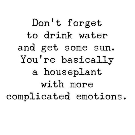 don't forget to drink water and get some sun. Feeling Down Quotes, Frases Disney, Down Quotes, Words To Live By Quotes, When Youre Feeling Down, Inspirational Humor, Drinking Quotes, Motiverende Quotes, Funny Inspirational Quotes