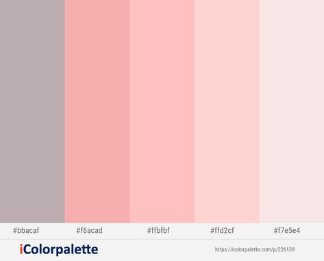 Peach Pallet, Pallet Color, Pink Swan, Light Peach Color, Pastel Color Schemes, Peach Colour, Nice Pic, Pink Palette, Peach Schnapps