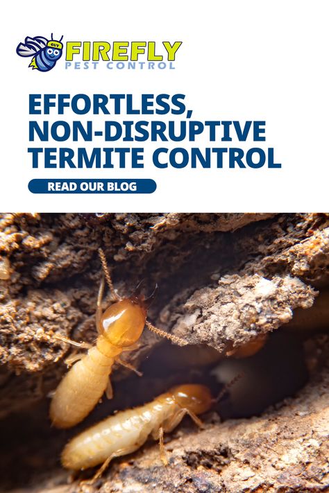 When it comes to termite control, many homeowners prefer solutions that avoid disrupting their home or landscaping. For those looking for a non-invasive approach, termite baits offer a low-maintenance, powerful solution. Termite Control, Pest Control, Low Maintenance, Save Yourself, Denver, Landscaping, Home Improvement, Things To Come, Canning