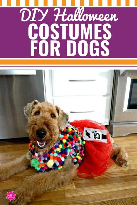 Dog Costumes Halloween Large, Diy Pet Costumes, Large Dog Costumes, Halloween Costumes For Dogs, Halloween Costumes You Can Make, Costumes For Dogs, Diy Dog Costumes, Costumes Diy, Diy Halloween Costume