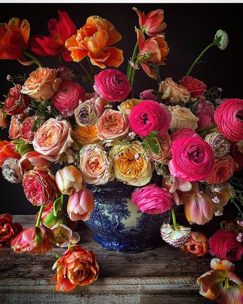 SECRETS OF A HOSTESS on Instagram: “Opulent Dutch flower arrangement !!! ———————————————————————— @cakeatelieramsterdam continues creating these stunning floral arrangements…” Jewel Tone Flowers, Full Bouquet, Wall Art Plaques, Mount Pleasant, Beautiful Flower Arrangements, Beautiful Blooms, Wall Art Designs, Wall Plaques, Orange Pink