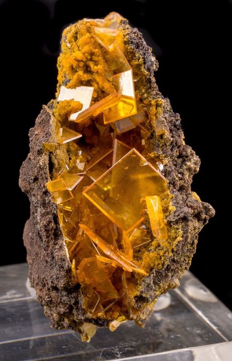 Discover the mesmerizing beauty of Wulfenite and Mimetite, splendid gemstones found in the exquisite San Francisco Mine, Sonora, Mexico. Unveil nature's colorful treasures and delve into the realm of gemstones with us. Follow us for more captivating content on the enchanting world of gems and minerals. #GemsAndMinerals #SanFranciscoMine #Mexico Yellow Crystals, Minerals Crystals Rocks, Rock Minerals, Beautiful Rocks, Mineral Stone, Minerals And Gemstones, Rocks And Gems, Gems And Minerals, A Rock