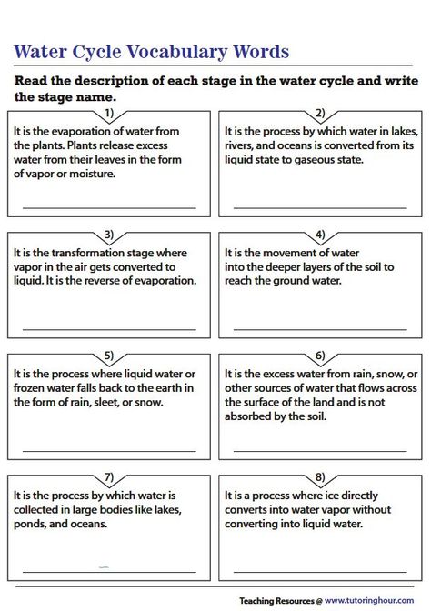 Water Cycle Vocabulary Words Worksheet Vocabulary Words Worksheet, Water Cycle Worksheet, Words Worksheet, Water Cycle, Science Worksheets, Vocabulary Words, Daily Activities, Vocabulary, Preschool