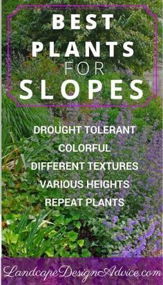 Plants For Slopes, Pallet Gardens, Diy Jardin, Landscaping A Slope, Landscaping On A Hill, Sloped Yard, Hillside Garden, Sloped Backyard, Hillside Landscaping