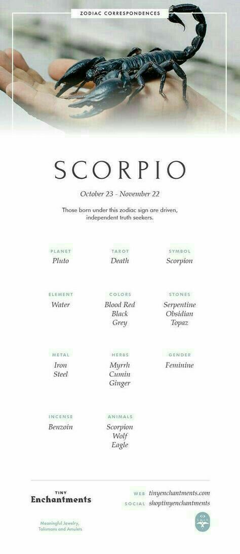 Scorpio Meaning, Scorpio Personality, Scorpio Symbol, Zodiac Quotes Scorpio, Astrology Scorpio, Scorpio Traits, Scorpio Zodiac Sign, Scorpio Love, The Scorpio