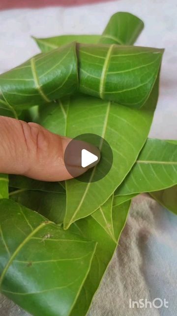 Mango Leaf Decorations, Hanging Leaf Decor, Decoration Craft Ideas, Mango Leaf, Craft Ideas Easy, Hanging Leaf, Diy Floral Decor, Leaf Decoration, Leaf Decor