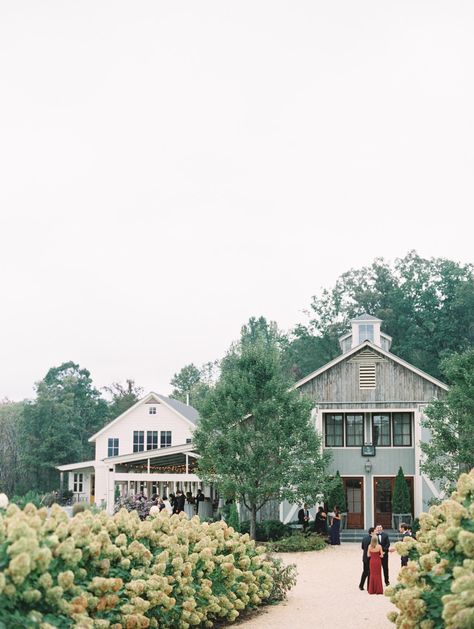 Virginia Beach Wedding Venues, Wedding Venues Virginia, Pippin Hill Wedding, Va Wedding Venues, Charlottesville Virginia Wedding, Wedding Venues In Virginia, Virginia Beach Wedding, Smallest Wedding Venue, Stunning Wedding Venues