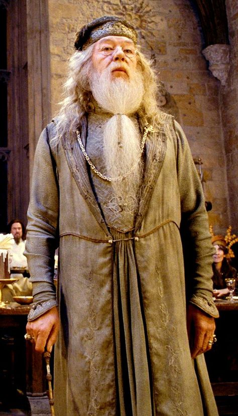 Professor Albus Percival Wulfric Brian Dumbledore (Michael Gambon) - Harry Potter Dumbledore Costume, Professor Dumbledore, Harry Potter Professors, Harry Potter Dumbledore, Harry Potter Quizzes, Gellert Grindelwald, Harry Potter Cosplay, Harry Potter Halloween, Harry Potter Costume