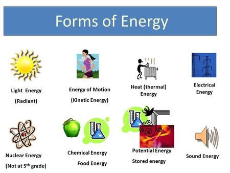 Light Energy (Radiant) Energy of Motion (Kinetic Energy) Heat (thermal) Energy Electrical Energy Nuclear Energy (Not at 5 th grade) Chemical Energy Food. Praxis Study, Writing Science Fiction, Energy Food, Types Of Energy, What Is Energy, Motion Energy, Nitrogen Cycle, Matter Worksheets, Basic Science