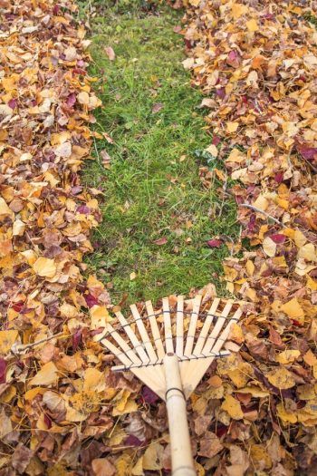 Fall Lawn Maintenance, Garden Prep, Fall Lawn Care, Fall Porch Decor Ideas, Fall Lawn, Lawn Mower Storage, Garden Prepping, Lawn Care Business, Fall Porch Decor