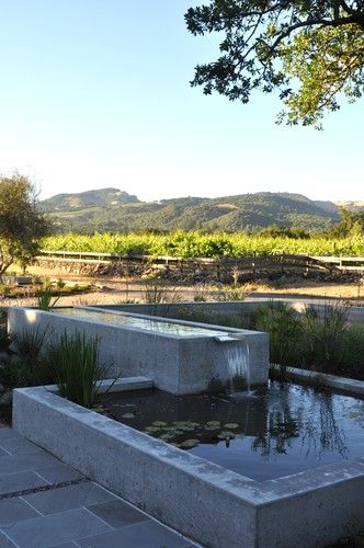 Wine country patio and water feature modern patio Modern Pond, Backyard Fountain, Country Patio, Raised Pond, Fish Pool, Modern Water Feature, Fountains Backyard, Pond Water Features, Pond Landscaping