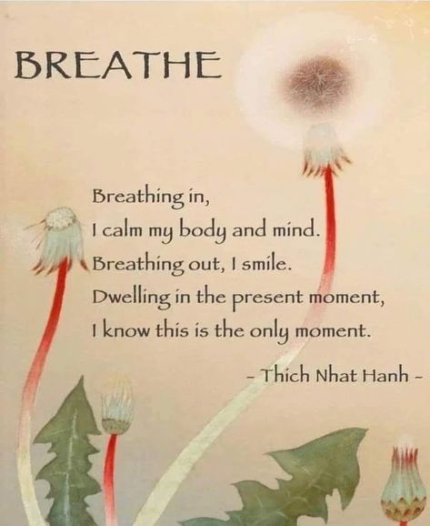 Zen Buddhism Quotes, Thich Nhat Hanh Quotes Mindfulness, Eckart Tolle, Yoga Reading, Thich Nhat Hanh Quotes, Buddhist Wisdom, Buddhism Quote, Buddhist Quotes, Zen Buddhism