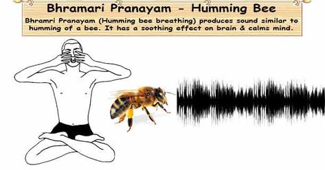 Bhramri Pranayam Bee Breathing, Om Chanting, Yoga Master, Migraine Pain, Ayurveda Yoga, Zen Buddhism, Heart Conditions, Breathing Techniques, Improve Memory