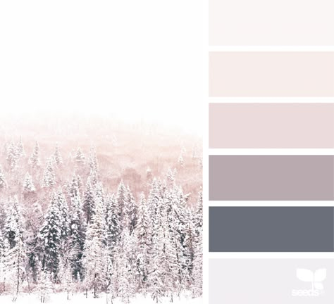 { winter tones } | image via: @julie_audet The post Winter Tones appeared first on Design Seeds. Seeds Color, Grey Color Scheme, Bohol, Design Seeds, Interior Paint Colors, Color Palette Design, Bathroom Colors, Paint Colors For Home, Bedroom Colors