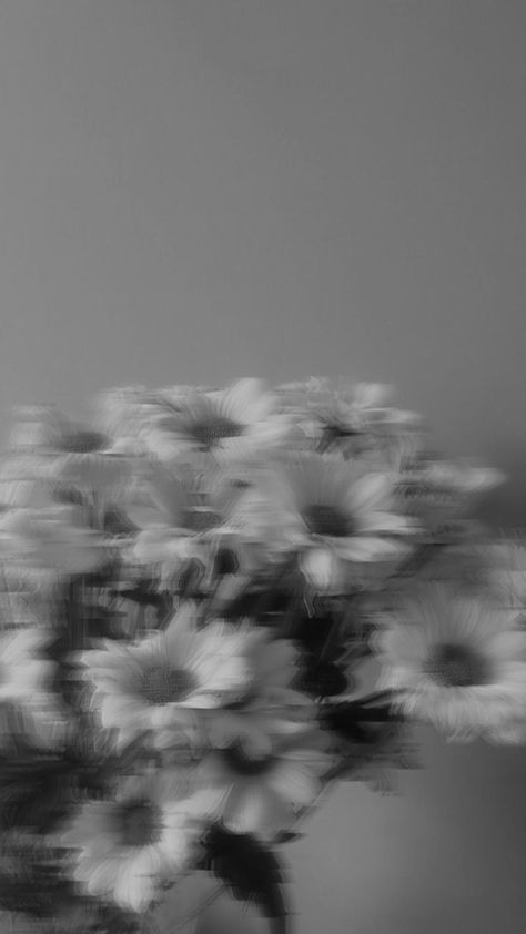 Aesthetic Pictures For Instagram Story Background, Colour Widgets, Books And Pens Photography, Black And White Instagram, Android Wallpaper Art, Vintage Flowers Wallpaper, Flowers Instagram, Blur Photo, Black And White Theme