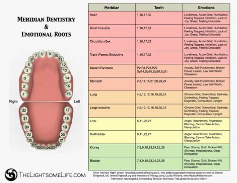 Teeth meridians emotions chart Holistic Dentistry, Body Chart, Tooth Chart, Emotion Chart, Teeth Health, Social Determinants Of Health, Traditional Chinese Medicine, Reflexology, Acupressure