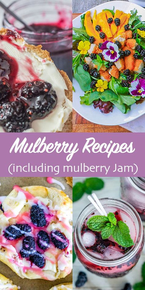 Learn how to make Mulberry Preserves and Jam, along with other amazing mulberry recipes including Mulberry Pie, Mulberry Mojitos, and Mulberry Danishes! #mulberries #Mulberryjam #Mulberryrecipes #mulberrypie #hildaskitchenblog Mulberry Jam Recipe, Mulberry Benefits, Mulberry Jam, Mulberry Recipes, Farm Recipes, Friends Recipes, Foraged Food, Jam Recipe, Mulberry Tree