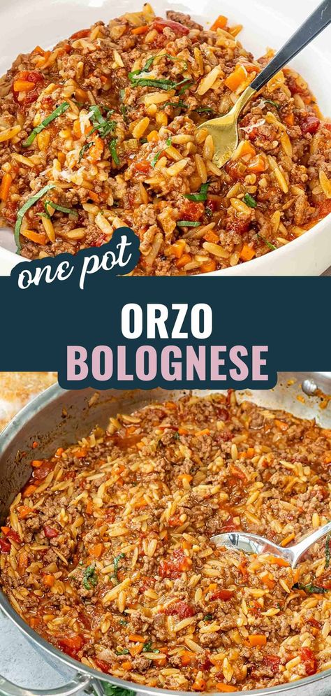 You've got to try this One Pot Orzo Bolognese! A delicious and easy weeknight dinner with tender orzo, savory ground beef, and rich tomato sauce. #OnePotMeal #ComfortFood #OrzoBolognese Orzo Tomato Sauce, Orzo With Beef, Dishes With Tomato Sauce, Orzo And Ground Beef Recipes, Beef Orzo Recipes, One Pot Pasta Ground Beef, Ground Beef Orzo Recipes, Orzo Casserole Recipes, Orzo Bolognese