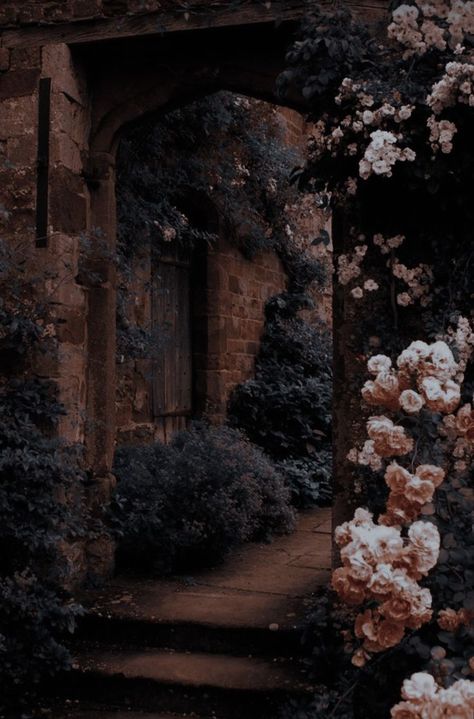 Medieval Aesthetic, Fairytale Aesthetic, Royalty Aesthetic, Midnight Garden, Dark Academia Aesthetic, Fantasy Aesthetic, Brown Aesthetic, Aesthetic Images, Nature Aesthetic