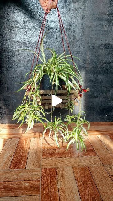 Diy Wooden Hanging Planter, Diy Hanging Pots For Plants, Hanging Pot Diy, Indoor Potted Plants Ideas, Pot Hanging Ideas, Plant Pot Design Ideas, Plant Hanging Ideas Diy, Tree Branch Ideas, Planters Ideas Indoor