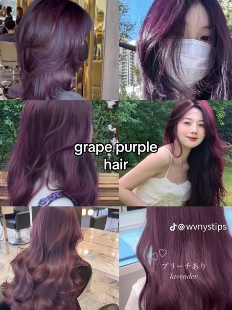 Dark Violet Hair, Bleach Hair Color, Red Purple Hair, Pelo Color Vino, Hidden Hair Color, Which Hair Colour, Korean Hair Color, Violet Hair, Pretty Hair Color