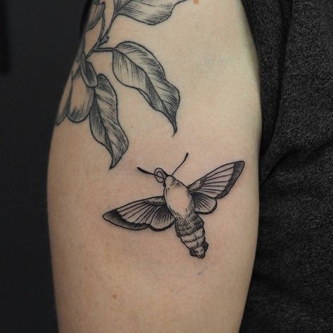 clearwing hummingbird moth on @zzhannon under a healed apricot branch. thank you! . #teamgoldeniron #torontotattoo #torontoartist #qttr… Hummingbird Tattoo Black, Nc Tattoo, Butterfly Wing Tattoo, Hummingbird Moth, Ancient Tattoo, Wing Tattoo, Small Tattoos Simple, Moth Tattoo, Hummingbird Tattoo