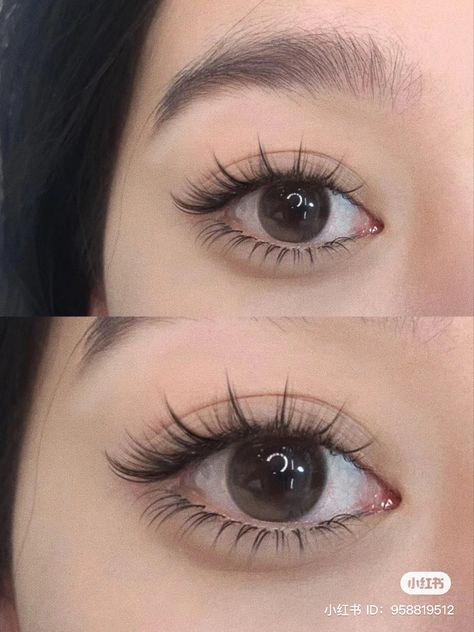 Eyelash Extension Styles, Manhua Lashes, Cat Eyelashes, Extension Styles, Natural Fake Eyelashes, Lashes Fake Eyelashes, Asian Makeup Looks, Lash Extensions Makeup, Cat Eye Lash