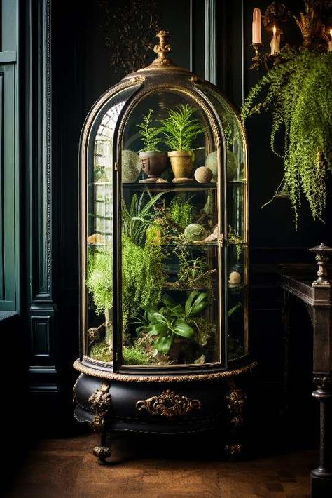 Terrarium Ideas | Dagmara Mach Plant Terrarium Table, Cool Terrarium Ideas, Beautiful Terrariums Diy, Gothic Terrarium Ideas, Harry Potter Terrarium Diy, Wardian Case Terrariums, Goth Terrarium, Moss Garden Indoor, Apothecary Terrarium