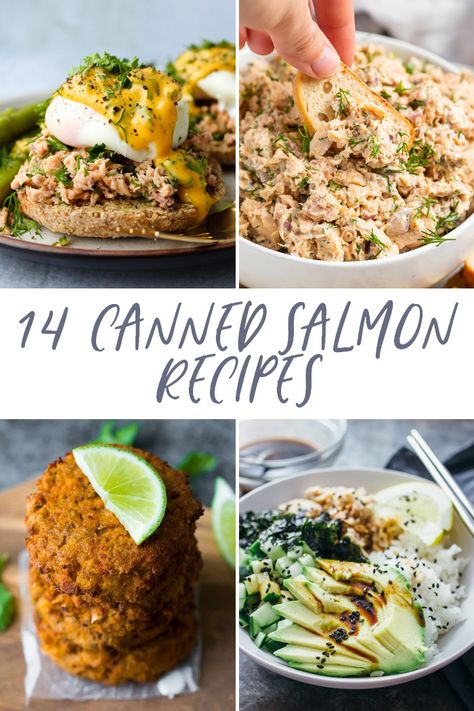 Crockpot Salmon, Canned Salmon Salad, Salmon Meatballs, Canned Salmon Recipes, Salmon Recipes Baked Healthy, Plat Vegan, Canned Salmon, Perfect Pantry, Can Salmon