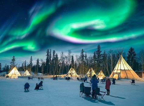 Aurora Village, Northern Lights Canada, 7 Natural Wonders, See The Northern Lights, Tromso, Trondheim, Seven Wonders, Alvar Aalto, The Aurora