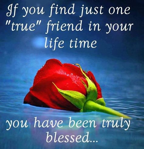 If You Find Just One True Friend In Your Lifetime You Are Truly Blessed Jealousy Friends, Special Friendship Quotes, Quotes Distance, Special Friend Quotes, True Friends Quotes, Mother Pictures, Love You Friend, Best Friendship Quotes, Photographie Portrait Inspiration