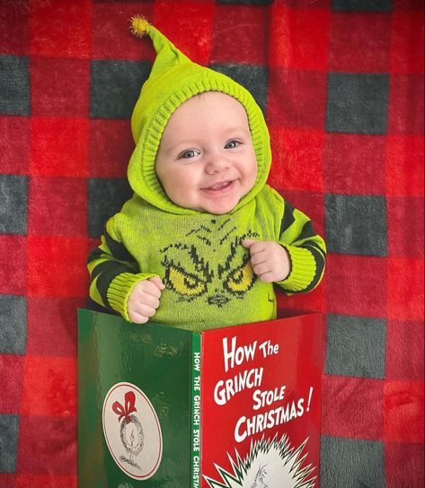 Grinch Photoshoot Props, Grinch Newborn Photoshoot, Diy Christmas Pictures Baby, Baby Grinch Photoshoot, Grinch Baby Photoshoot, Grinch Photoshoot Ideas, Grinch Photoshoot, Infant Christmas Pictures, The Baby Who Stole Christmas