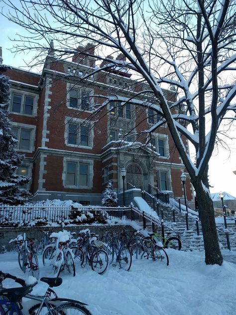 Midwest College Aesthetic, College Winter Aesthetic, University Of Vermont Aesthetic, University Of Minnesota Aesthetic, Rival Darling, Winter Academia Aesthetic, Snowy Winter Aesthetic, Minnesota Aesthetic, Minnesota University