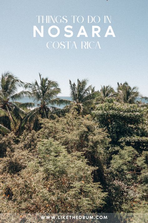 Things to do in Nosara, Costa Rica Travel Aesthetic Beach, Beach Horseback Riding, Travel Wallpapers, Isolated Island, Nosara Costa Rica, Travel With Friends, Travel Aesthetics, Latin America Travel, Nosara