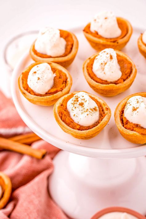 Mini Pumpkin Pie Recipe, Sweet Potato Filling, Mini Pumpkin Pies Recipe, Sweet Potato Pies, Mini Pie Crust, Premade Pie Crust, Sweet Potato Souffle, Cannoli Cream, Individual Pies