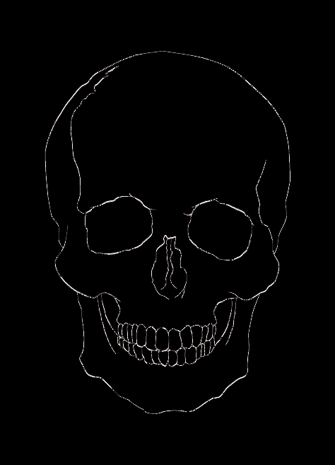 Tiny Skull Tattoos, Skull And Rose Drawing, Human Skull Drawing, Human Skull Anatomy, Skull Outline, Skull Template, Key Drawings, Simple Skull, Skull Sketch