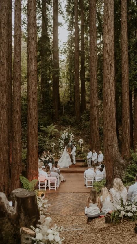 Small Forest Wedding Ideas, Forest Micro Wedding, Small Forest Wedding Ceremony, Small Forest Wedding, Green House Wedding, Forest Wedding Ceremony, Moss Wedding, Small Weddings Ceremony, Small Forest