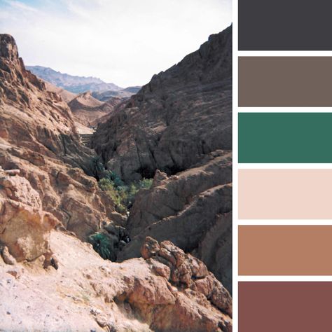 Oasis in the desert colour palette #color #colour #colorpalette #colourpalette #colorinspiration #colourinspirations #colorcombo #colourcombo #colorcombinations #colourcombination #colorsofriell #coloursofriell #colourconsultant #coloursofnature #colorsofnature #coloursaroundus #designedbyriell #oasis #desert #tunisia #inspiráció #dekor #színezdkiazéleted #színtanácsadás #színpaletta #színkombinációk #színekrielltől Desert Ruins, Oasis In The Desert, Siwa Oasis, Desert Colors, Desert Oasis, Palette Color, Design Seeds, In The Desert, Tunisia