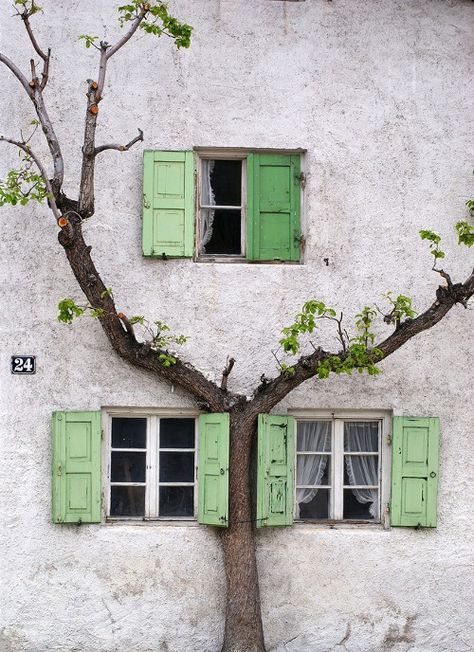 Era Victoria, Balkon Decor, Beautiful Windows, Window Boxes, Through The Window, Beautiful Doors, Belle Photo, Wabi Sabi, Shutters