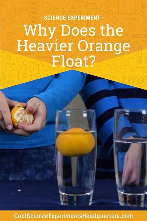 a child holding a peeled orange standing behind a two clear glasses, one with an unpeeled orange floating in water Orange Float, Easy Science Fair Projects, Density Experiment, Science Inspiration, Homeschool Science Experiments, Science Experiments Kids Elementary, Water Experiments, First Grade Science, Physical Activities For Kids