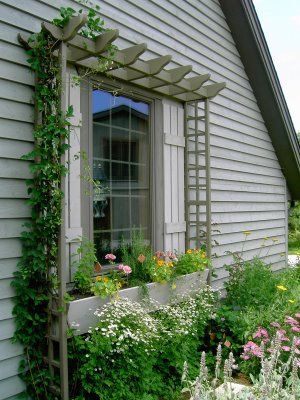 A mini pergola for around the window, a beautiful architectural support for training clematis or climbing roses. نباتات منزلية, Small Front Yard Landscaping, Small Front Yard, Garden Vines, Window Planter Boxes, Side Yard, Garden Trellis, Flower Bed, Garden Structures