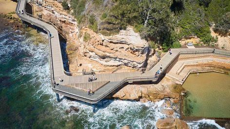 Terrigal Boardwalk | Arup Boardwalk Design, Liquid Architecture, Green Infrastructure, Social Health, Architecture Thesis, Marine Landscape, Architecture Foundation, Beach Path, Urban Tree