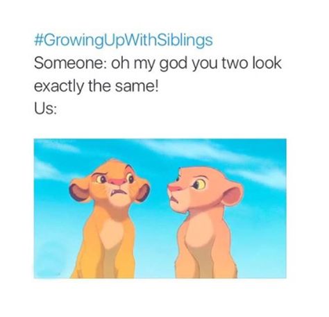 Sister Jokes, Sibling Memes, Growing Up With Siblings, Siblings Funny, The Lion King, My God, Really Funny Memes, Funny Tweets, The Lion