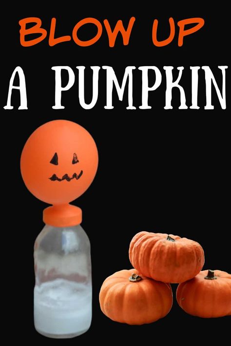 Blow up a pumpkin balloon with alka seltzer and water, vinegar and baking soda or even yeast and warm water! #pumpkinscience #Halloween Pumpkin Investigation, Halloween Stem Activities, Balloon Experiment, Pumpkin Science, Flower Wall Decoration, Spooky Halloween Food, Vinegar And Baking Soda, Halloween Stem, Fun Halloween Games