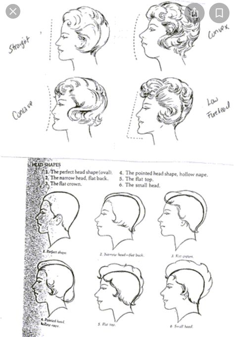 Chin Shapes, Protruding Chin, Facial Types, Heads Up, Soft Hair, The Temple, Show Me, The Face, Bangs