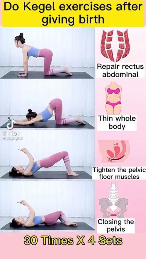 Pin by leistallion on A tik tok [Video] | Kegel exercise, Bodyweight workout beginner, Postnatal workout Lose 10 Kg, Diastasis Recti Exercises, Post Pregnancy Workout, Latihan Kardio, Baby Workout, Latihan Yoga, Kegel Exercise, Postnatal Workout, Full Body Gym Workout