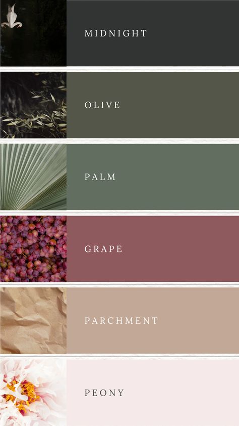 Colour palette with midnight, olive, green, dark pink, natural beige and blush pink. Dark Green And Blush Color Palette, Green Swatches Colour Palettes, Safe Green Colour Palette, Pink And Dark Green Kitchen, Colour Palette Three Colours, Colour Palettes With Black, Color Palettes With Dark Green, Navy Pink Green Color Palette, Dark Green And Red Color Palette