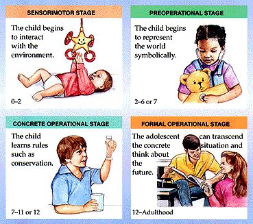 In our book we have learned about Piaget's stages. This pin shows the different stages: sensorymotor, preconcrete, concrete operational, and formal operational stages. Piaget Stages Of Development, Piaget Theory, Psychology Jobs, Child Development Theories, Psychology Posters, Human Growth And Development, Educational Theories, Psychology Studies, Cognitive Psychology